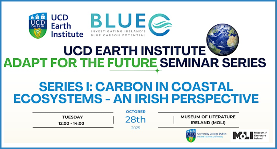 Adapt for the Future pic framed